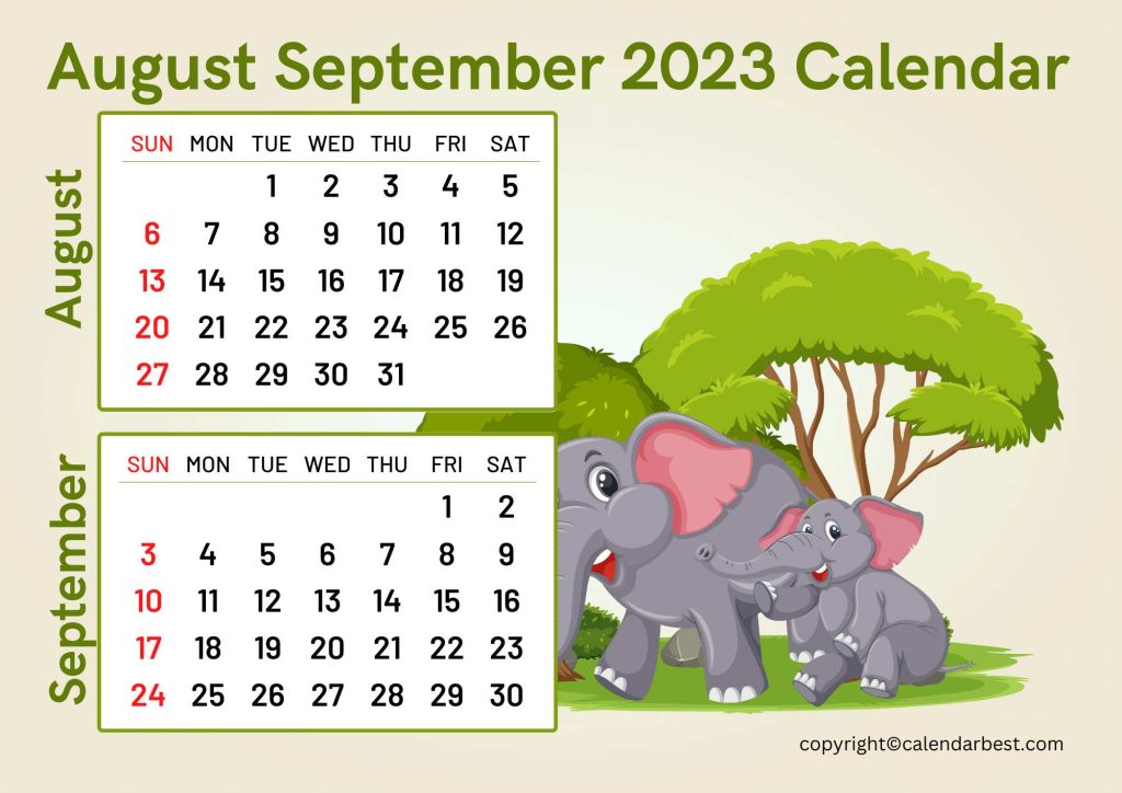 August September 2023 Calendar Printable