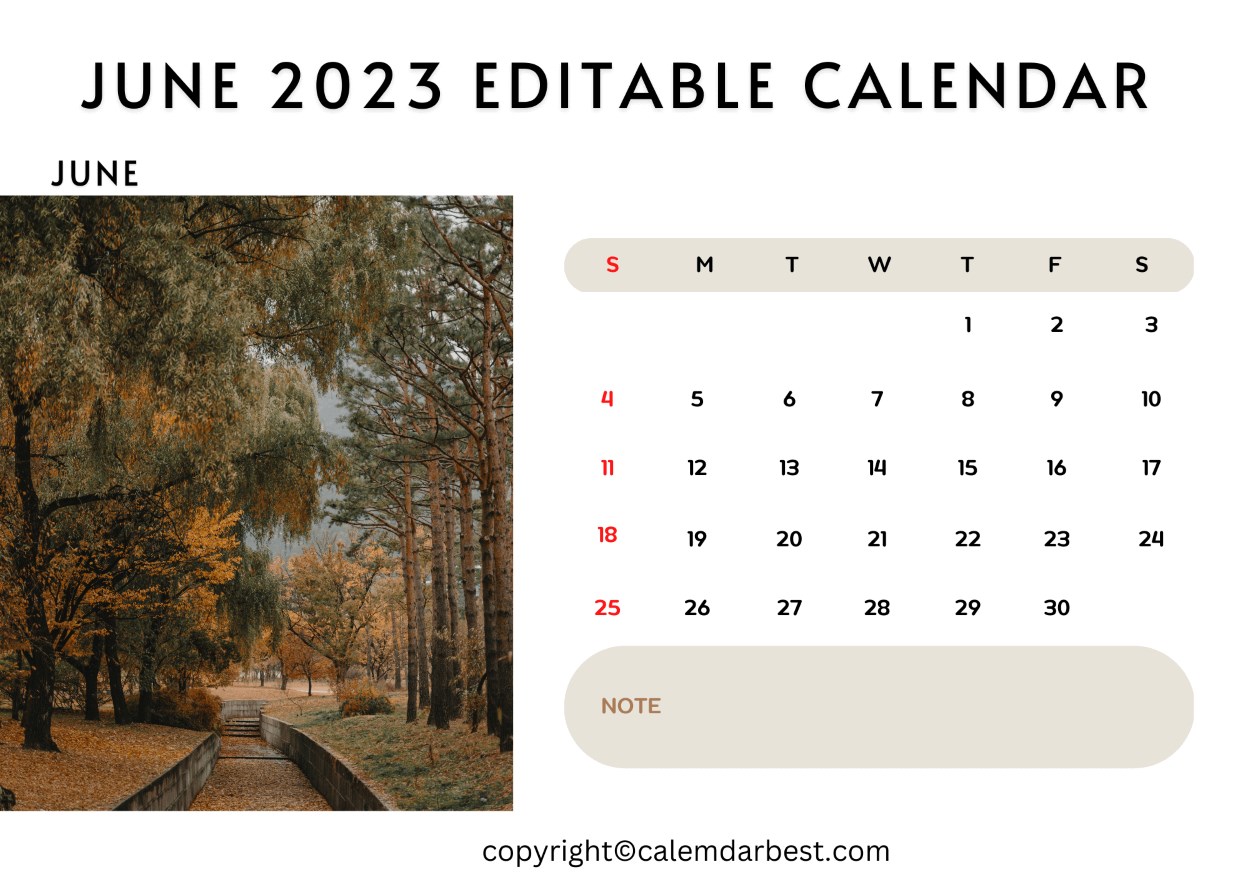June 2023 Editable Calendar Printable